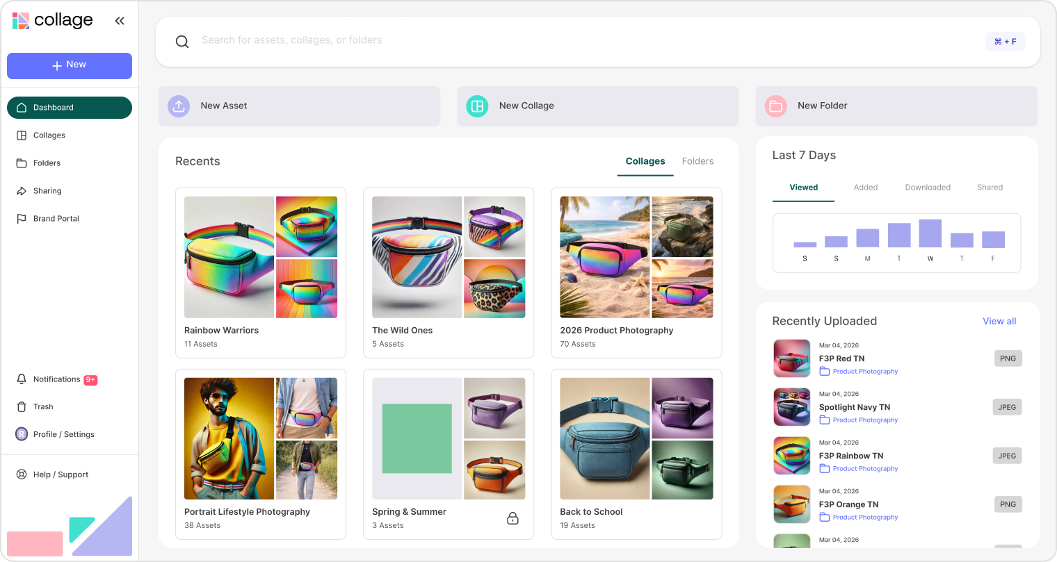 Collage dashboard showing organized digital assets