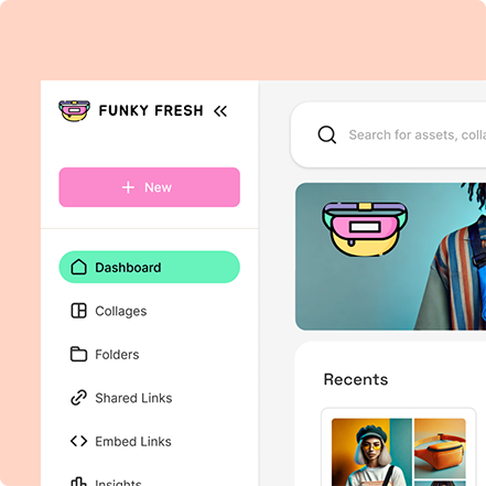 Graphic design interface with icons, "Funky Fresh" logo, and a colorful palette with dashboard options.