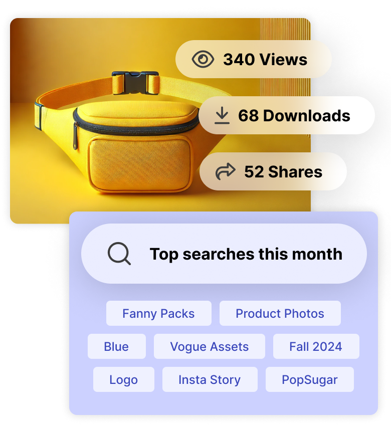 A yellow fanny pack with statistics of views, downloads, and shares, alongside top search terms.