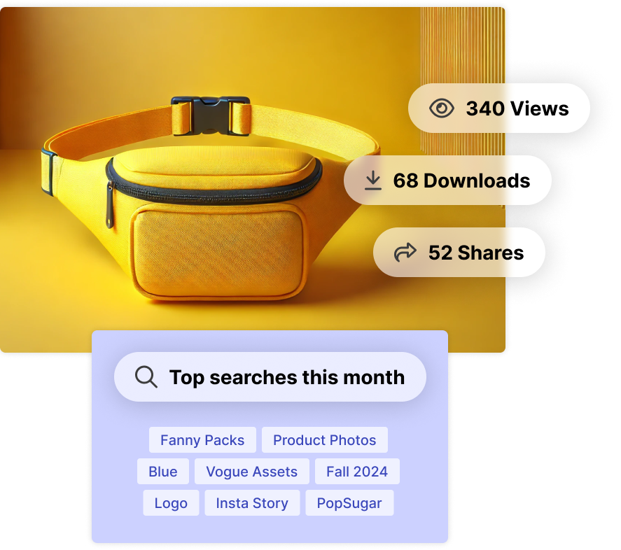 A yellow fanny pack with statistics of views, downloads, and shares, alongside top search terms.